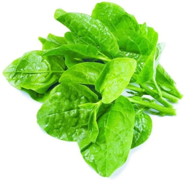 bachali/malabar spinach 200 seeds bachali/malabar spinach 200 seeds