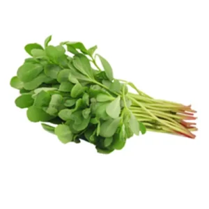 gangavalli kura (kulfa – seeds) (1500+ seeds)