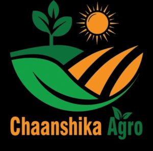 whatsapp image 2025 08 10 at 9.51.37 am